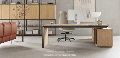 Scrivania direzionale con piano melaminico da 200 x 100 cm, gamba pannellata con struttura in alluminio estruso, mobile di servizio monofacciale con cassetto portacancelleria, cassetto classificatore, cassetto con serratura, modulo con ante, vano porta CPU, vano a giorno con ripiano e passacavo Ø80 mm per la canalizzazione del piano di lavoro.