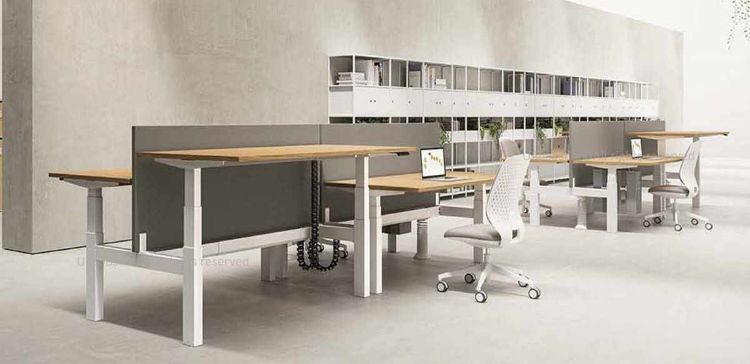 Due bench elevabili a quattro postazioni con configurazione 2+2, piani in conglomerato ligneo spessore 25 mm rivestiti in melaminico antigraffio, regolazione elettrica in altezza da 61,5 a 127,5 cm, struttura telescopica in acciaio verniciato, frontal panel in tessuto per ogni postazione e finiture disponibili in bianco, grigio chiaro, rovere chiaro, rovere tabacco, noce Maroncelli e terra d’ombra.