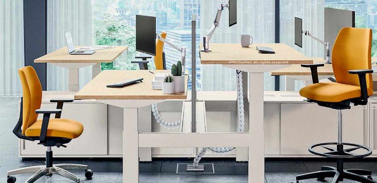 Bench elevabile a due posti regolabile in altezza da 65 a 125 cm, completo di schermo protettivo in truciolare nobilitato melaminico antiriflesso, tre vertebre passacavi, due bracci portamonitor regolabili con molla a gas e mobile di servizio con ante scorrevoli, ripiani interni, flap passacavi sul top, serratura centralizzata e chiusura ammortizzata.