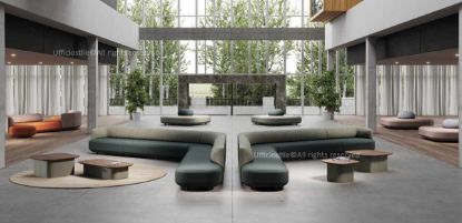 Picture of Compositional example of sofas in the lounge area