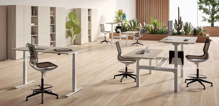 Scrivanie e bench elevabili per ufficio con altezza regolabile elettricamente, struttura solida in metallo verniciato a polveri, piani in melaminico effetto legno disponibili in diverse finiture e configurazioni singole o condivise per ambienti open space, coworking e postazioni ergonomiche moderne.