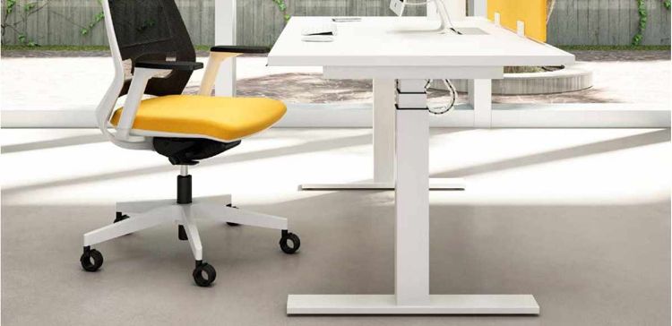 Scrivania operativa regolabile in altezza da 140 x 80 cm, con piano elevabile da 61,8 a 126,8 cm realizzato in conglomerato ligneo spessore 30 mm rivestito con carta melaminica antiriflesso, struttura metallica a colonna telescopica con gambe a T rovesciata, flap passacavi e vertebra regolabile.