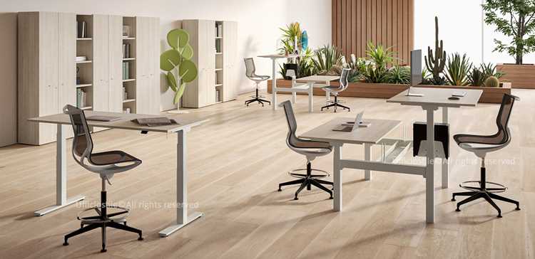Picture for category Height-adjustable sit-stand desks