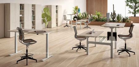 Picture for category Height-adjustable sit-stand desks