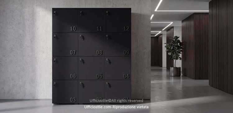 Immagine di Lockers 12 ante