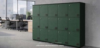 Immagine di Lockers a 15 Vani 5x3