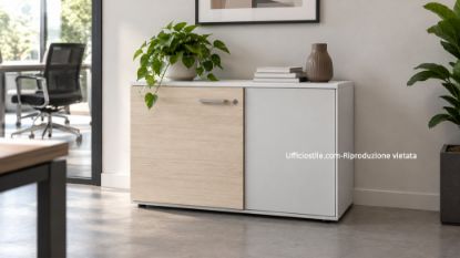 Immagine di Contenitore basso 02 ante