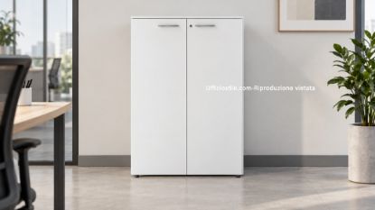 Immagine di Armadio Contenitore ufficio  02 ante h.118