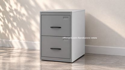 Immagine di Classificatore metallo cartelle sospese 2 cassetti.